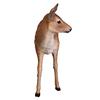 Design Toscano Spotted Deer, Forest Fawn Sculpture NE110108